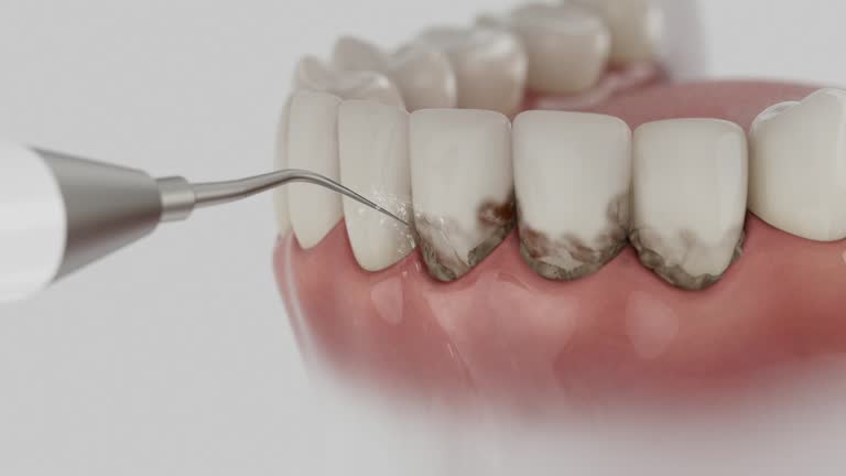 Reliable Dental contractor in Petroleum County County, MT by Dentist Open Now